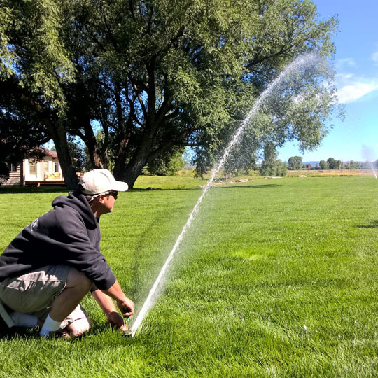 Tony working on a sprinkler system